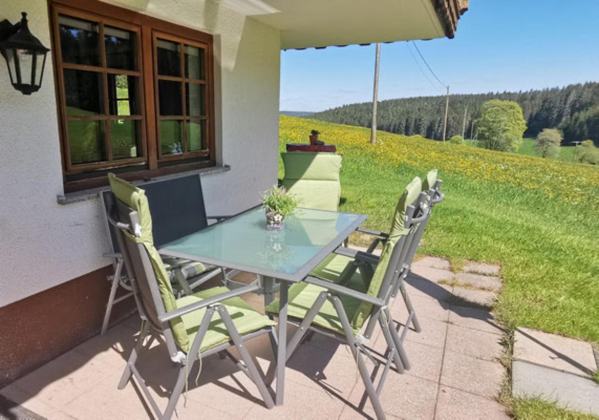 Oberengenbachhof Apartman Eisenbach  Kültér fotó